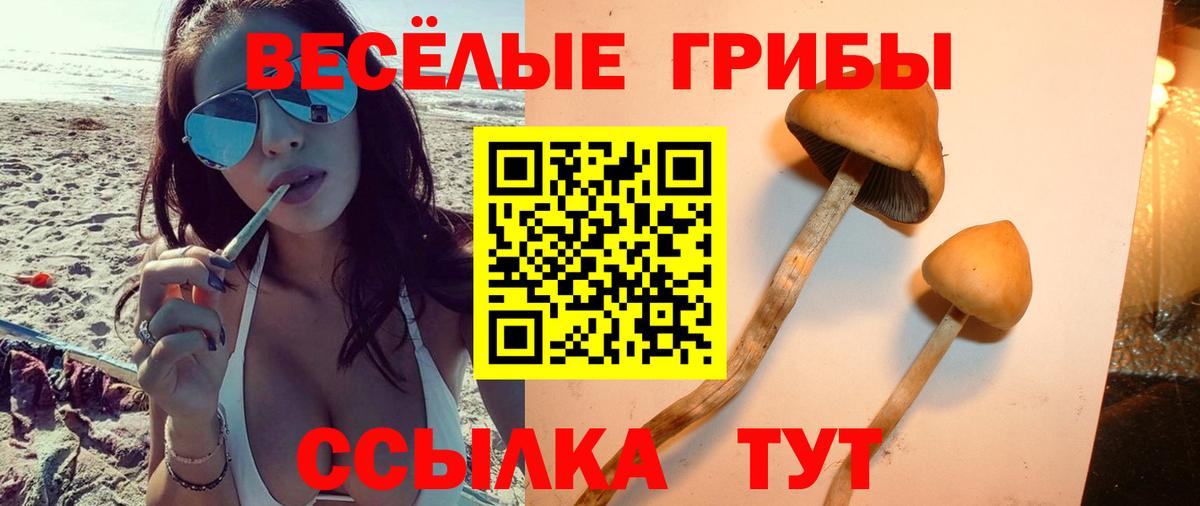 Рубцовск  Галлюциногенные грибы мухоморы  Вход с VPN 